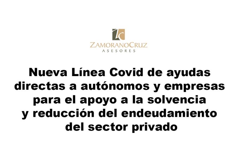 ayudas autonomos y empresas